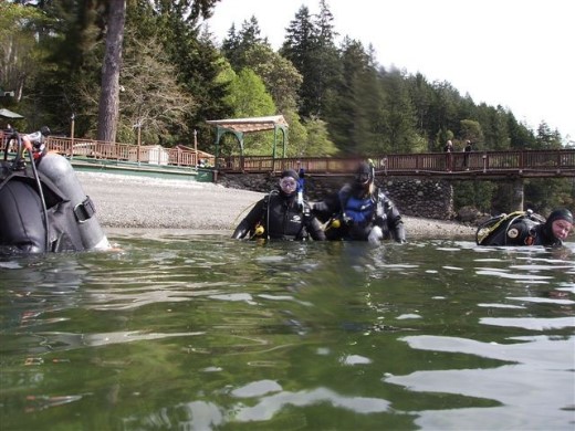 ../Images/First Dives.jpg